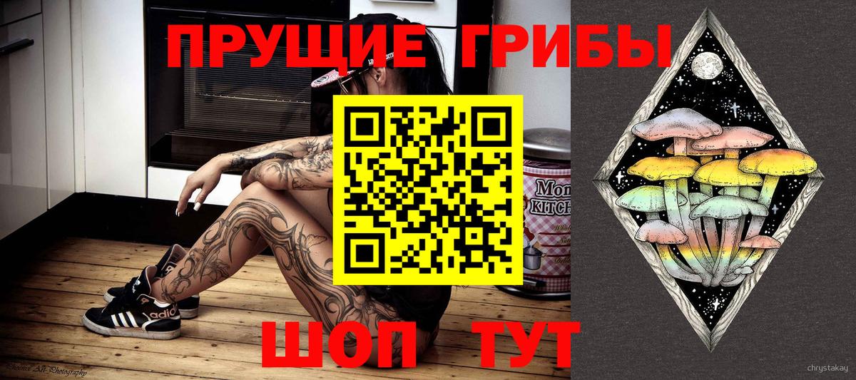 Псилоцибиновые грибы ЛСД  Галлюциногенные грибы Psilocybe  Вход с VPN  Светлоград 