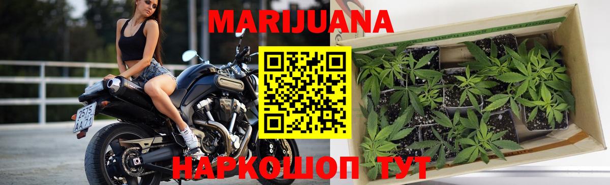 Бошки Шишки конопля Светлоград